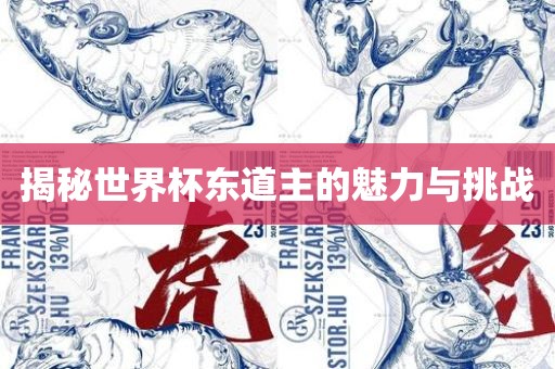揭秘世界杯东道主的魅力与挑战