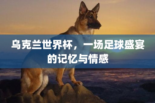 乌克兰世界杯，一场足球盛宴的记忆与情感