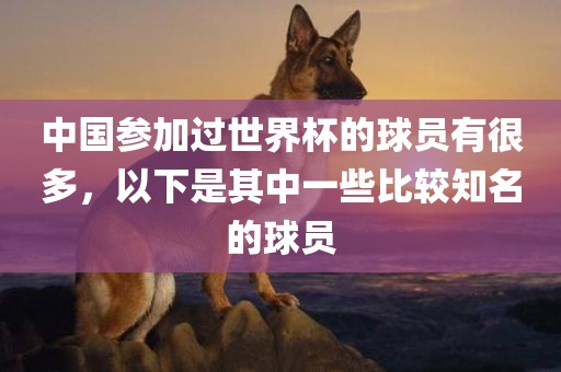 中国参加过世界杯的球员有很多，以下是其中一些比较知名的球员