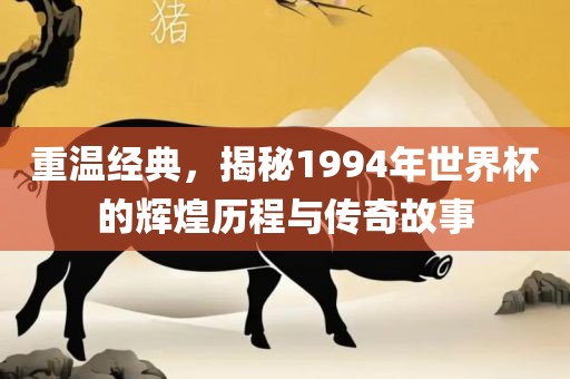 重温经典，揭秘1994年世界杯的辉煌历程与传奇故事