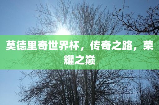 莫德里奇世界杯，传奇之路，荣耀之巅