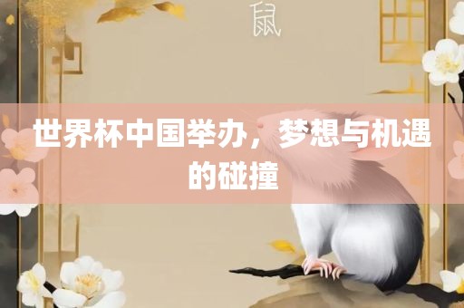 世界杯中国举办，梦想与机遇的碰撞