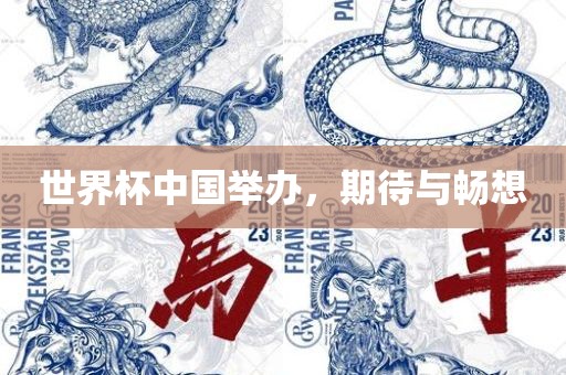世界杯中国举办，期待与畅想