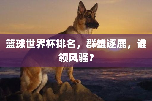 篮球世界杯排名，群雄逐鹿，谁领风骚？