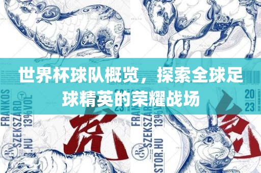 世界杯球队概览，探索全球足球精英的荣耀战场