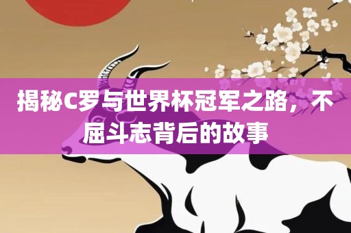 揭吉安市靖泰电力工程有限公司秘C罗与世界杯冠军之路，不屈斗志背后的故事