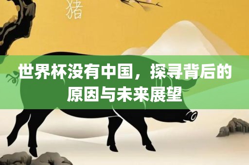 世界杯没有中国，探寻背后的原因与未来展望