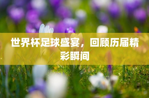 世界杯足球盛宴，回顾历届精彩瞬间吉安市靖泰电力工程有限公司