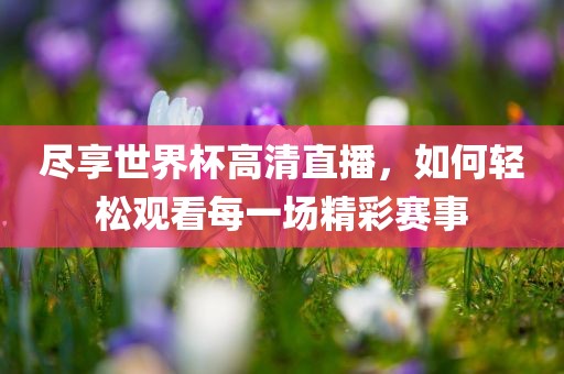 尽享世界杯高清直播，如何轻松观看每一场精彩赛事