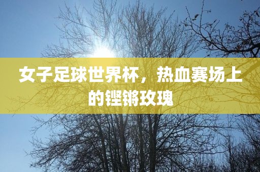 女子足球世界杯，热血赛场上的吉安市靖泰电力工程有限公司铿锵玫瑰