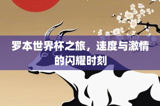 罗本世界杯之旅，速度与激情的闪耀时刻