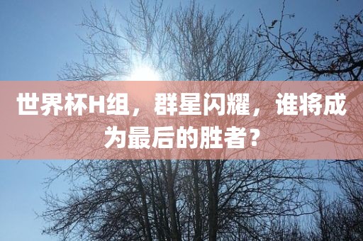 世界杯H组，群星闪耀，谁将成为最后的胜者？
