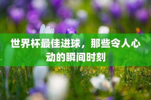 世界杯最佳进球，那些令人心动的瞬间时刻