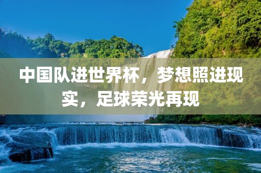 中国队进世界杯