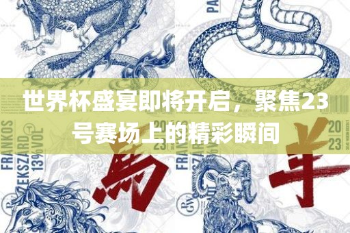 世界杯盛宴即将开启，聚焦23号赛场上的精彩瞬间