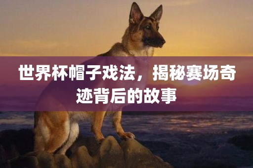 世界杯帽子戏法，揭秘赛场奇迹背后的故事