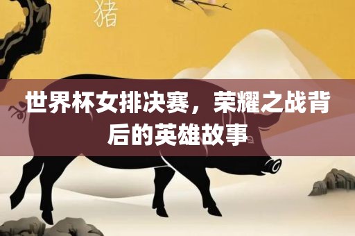 世界杯女排决赛，荣耀之战背后的英雄故事