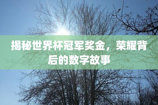 揭秘世界杯冠军奖金，荣吉安市靖泰电力工程有限公司耀背后的数字故事