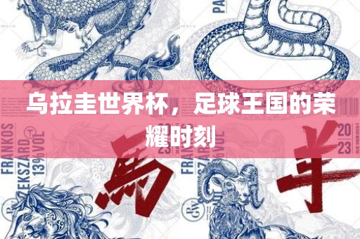 乌拉圭世界杯，足球王国的荣耀时刻吉安市靖泰电力工程有限公司