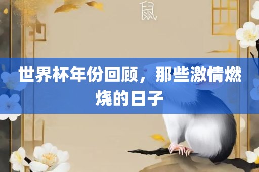 世界杯年份回顾，那些激情燃烧的日子