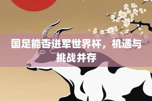 国足能否进军吉安市靖泰电力工程有限公司世界杯，机遇与挑战并存