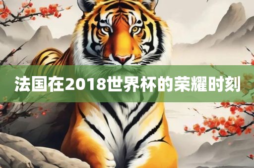 法国在2018世界杯的荣耀时刻吉安市靖泰电力工程有限公司