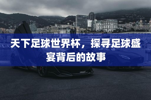 世界杯足球 第7页