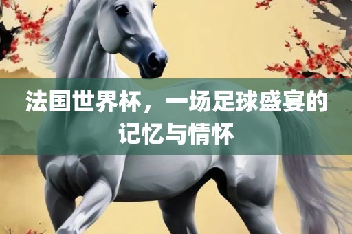 法国世界杯，一场足球盛宴的记忆与情怀吉安市靖泰电力工程有限公司
