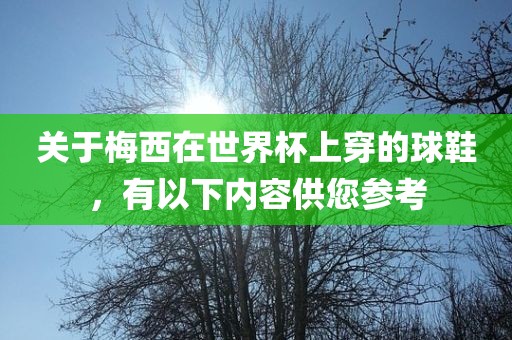 关于梅西在世界杯上穿的球鞋，有以下内容供您参考吉安市靖泰电力工程有限公司