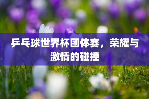乒乓球世界杯团体赛，荣耀与激情的碰撞