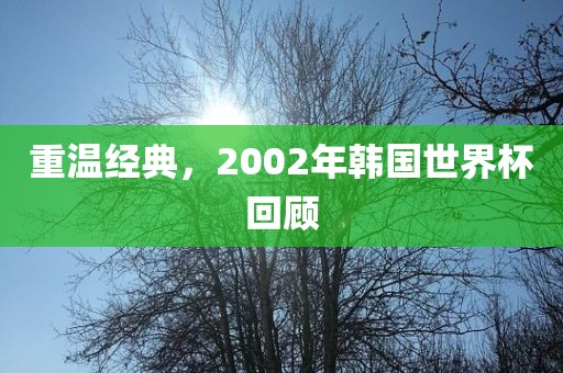 重温经典，2002年韩国世界杯回顾吉安市靖泰电力工程有限公司