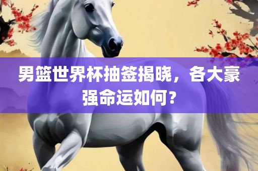 男篮世界杯 第3页