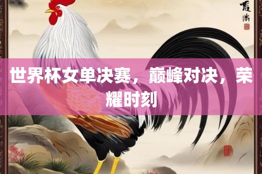 世界杯女单决赛，巅峰对决，荣耀时刻