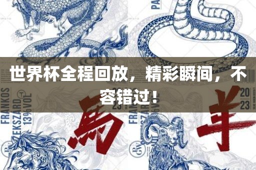 世界杯全程回放，精彩瞬间，不容错过！