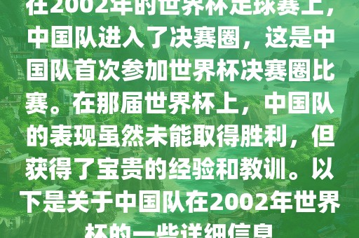 在2002年的世界杯足球赛上，中国队进入了决赛圈，这是中国队首次参加世界杯决赛圈比赛。在那届世界杯上，中国队的表现虽然未能取得胜利，但获得了宝贵的经验和教训。以下是关于中国队在2002年世界杯的一些详细信息