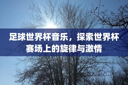 足球世界杯音乐，探索世界杯赛场上的旋律与激情
