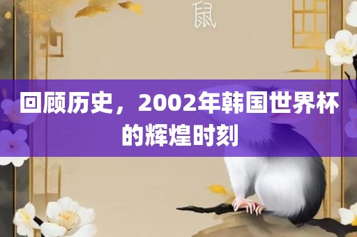 回顾历史，2002年韩国世界杯的辉煌时刻吉安市靖泰电力工程有限公司