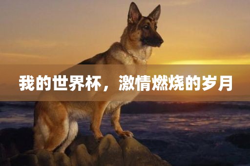 我的世界杯，吉安市靖泰电力工程有限公司激情燃烧的岁月