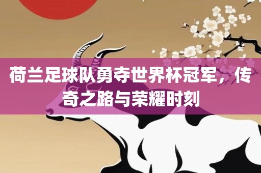 荷兰足球队勇夺世界杯冠军，传奇之路与荣耀时刻