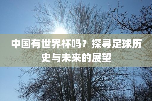 中国有世界杯吗？探寻足球历史与未来的展望