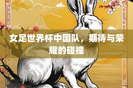 女足世界杯中国队，期待与荣耀的碰撞