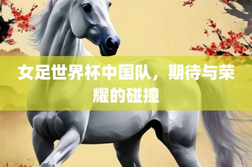 女足世界杯中国队，期待与荣耀的碰撞