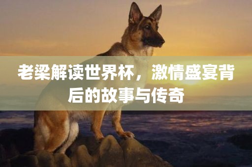 老梁解读世界杯，激情盛宴背后的故事与传奇