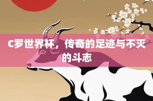 C罗世界杯，传奇的足迹与不灭的斗志吉安市靖泰电力工程有限公司