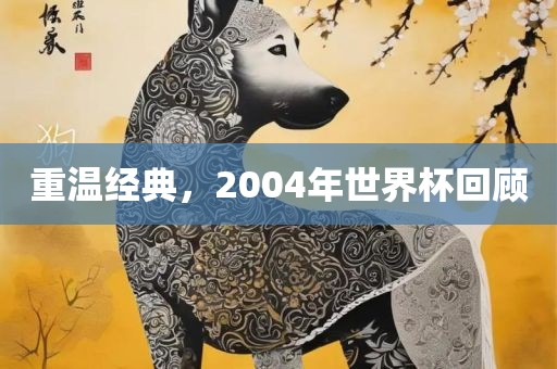 重温经典，2004年世界杯回顾