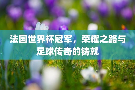 法国世界杯冠军，荣耀之路与足球传奇的铸就