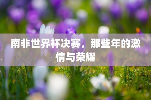 南非世界杯决赛，那些年的激吉安市靖泰电力工程有限公司情与荣耀