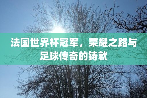 法国世界杯冠军，荣耀之路与足球传奇的铸就吉安市靖泰电力工程有限公司