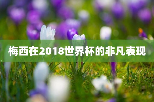 世界杯非凡表现