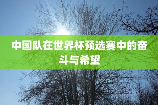 中国队吉安市靖泰电力工程有限公司在世界杯预选赛中的奋斗与希望